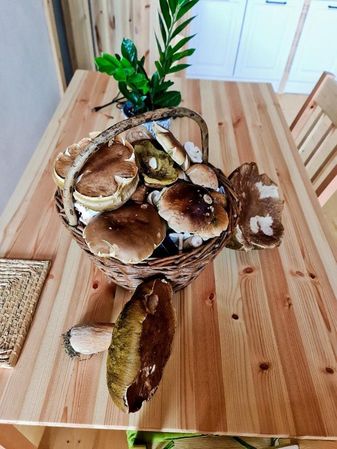 Chata Zorka Opařany Екстериор снимка